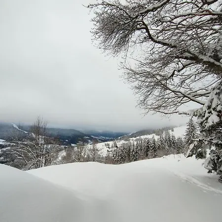 Spacieux A 2 Km Des Pistes De Prázdninový dům *
