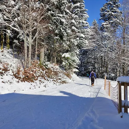 Spacieux A 2 Km Des Pistes De