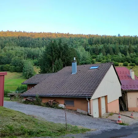 Spacieux A 2 Km Des Pistes De * Bussang