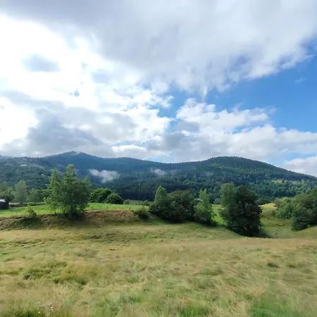 Spacieux A 2 Km Des Pistes De Bussang
