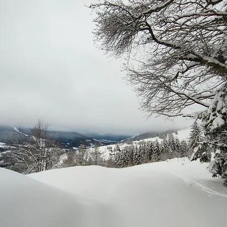 Spacieux A 2 Km Des Pistes De Nyaraló
