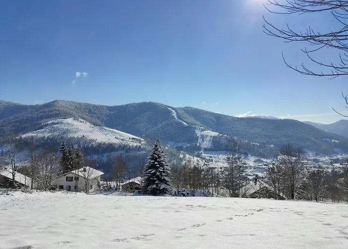 Spacieux A 2 Km Des Pistes De Bussang