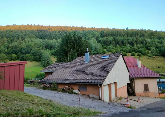 Spacieux A 2 Km Des Pistes De * Bussang