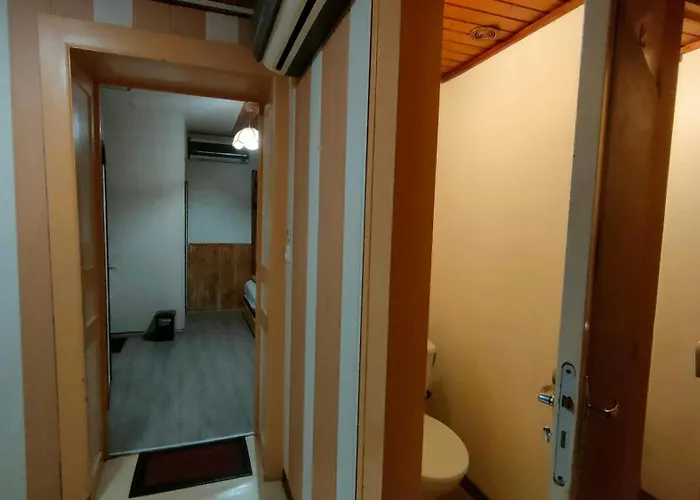 Spacieux A 2 Km Des Pistes De