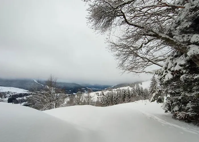 Spacieux A 2 Km Des Pistes De Prázdninový dům *