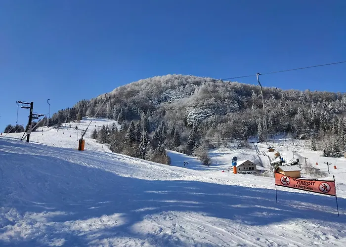 Spacieux A 2 Km Des Pistes De * Bussang