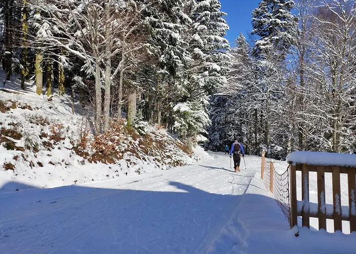 Spacieux A 2 Km Des Pistes De Σπίτι διακοπών