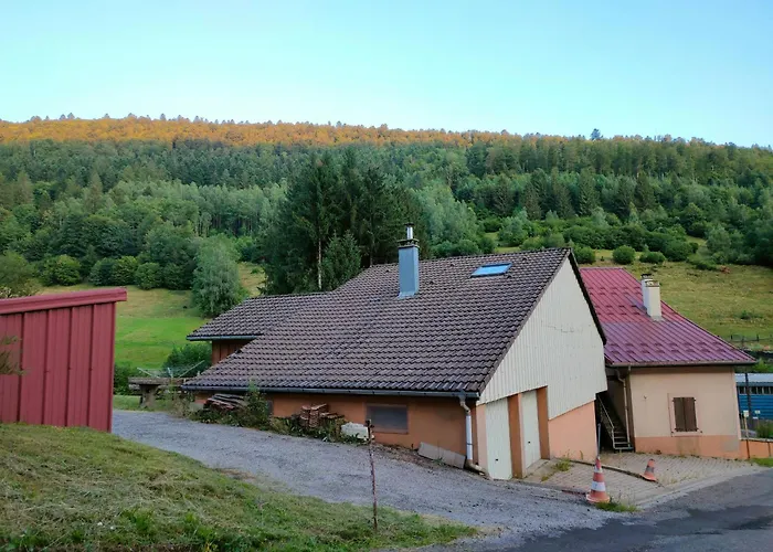 Spacieux A 2 Km Des Pistes De * Bussang